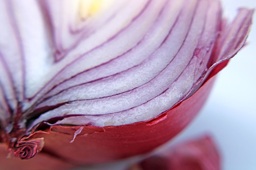 Red Onion sliced - showing the layers