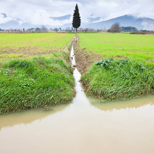 Full water ditch in a field after torrential rain - Global warming effects stock photo
