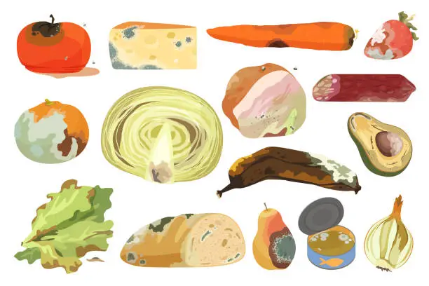 Vector illustration of Expired ingredients, spoiled food with bacteria and mold