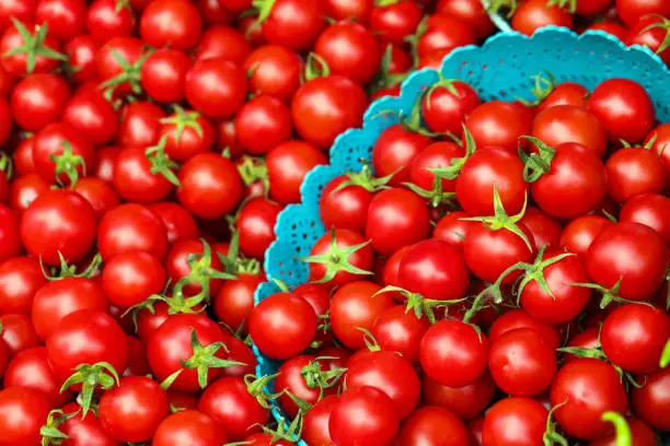 Photo of Fresh Tomatoes , Red Concept