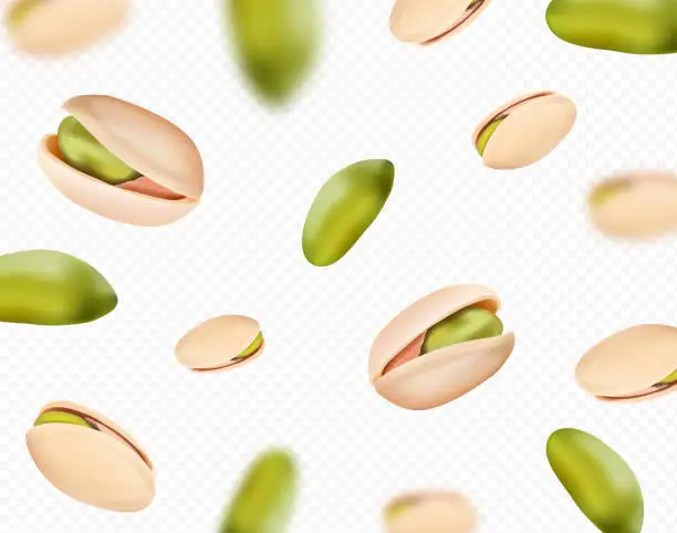 Vector illustration of Pistachios falling on transpatent background.