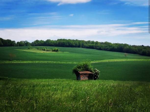 View in spring of the stour valley near Chilham in Kent, England