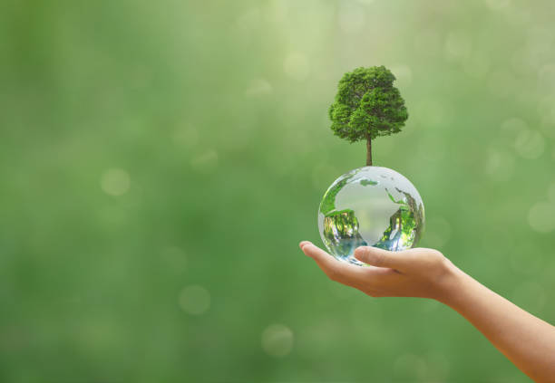 istock Hand holding glass globe ball with tree.Earth Day or World Environment Day, environmentally friendly concept. Save our Planet, protect Green Nature, sustainable lifestyle and Climate change. 1486564830