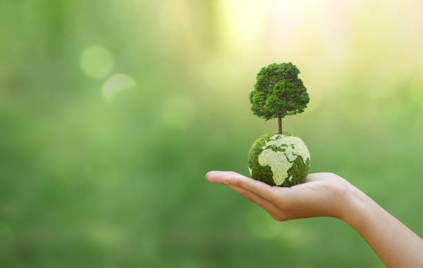 main de l’homme tenant de la terre verte avec un arbre pour esg, co2 et net zéro. concept d’environnement mondial durable, sauvons notre planète, journée mondiale de l’environnement, journée mondiale de la terre et changement climatique. - business green finance world map photos et images de collection