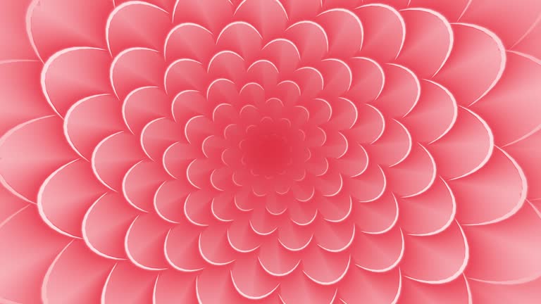 Light Red Floral Decorative Spiral Animated Background