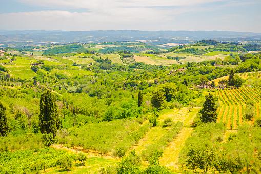 Field in Italy. Tuscany