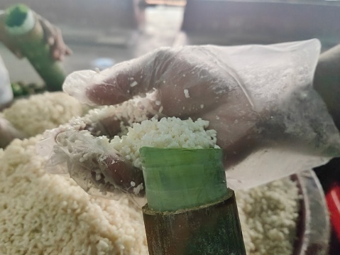 Human hand refilling washed glutinous rice into hollowed bamboo (lined with banana leaf) for lemang preparation