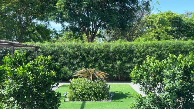 A B-Roll Journey of a Lush Green Backyard Garden with Towering Trees Providing Shade and Serenity