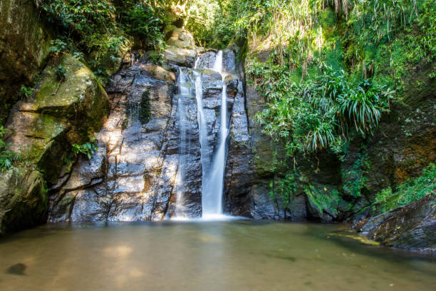 istock Shower Waterfall in Horto of Rio de Janeiro. 1486571975