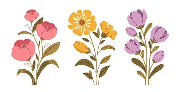 Vector illustration of Blooming flowers. Botanical set