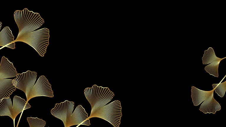 Animated Gold frame of Ginkgo biloba leaves isolated on black background. Video golden luxury border of floral leaves. Model for TV show, intro, movie, catwalk stage design with copy space for text