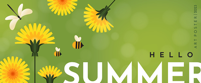 Banner hello summer with dandelions. Bright yellow dandelions, two bees and a dragonfly. Summer illustration for banner, poster or flyer.