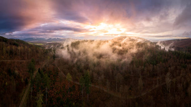 rising haze over a mountain in the black forest after a rain shower - forest black forest sky night imagens e fotografias de stock