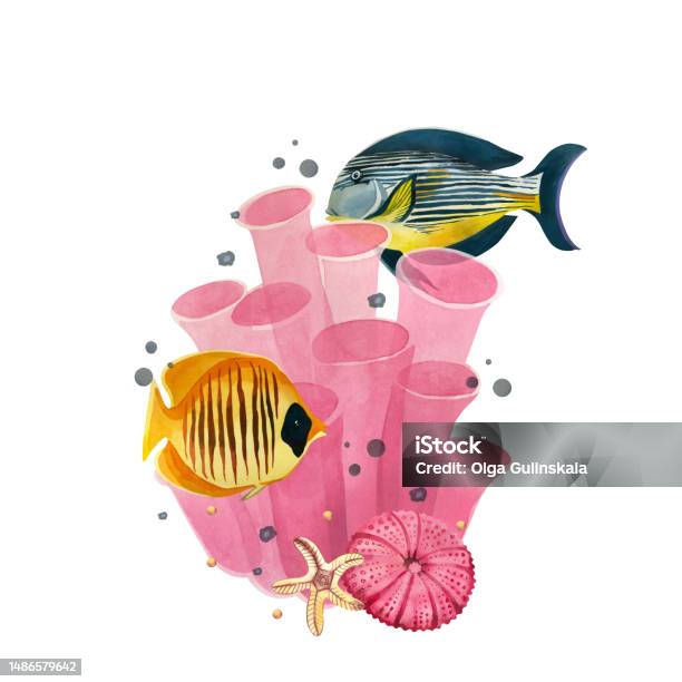 Collana Argento E Corallo Rosso - Le Meraviglie Del Mare