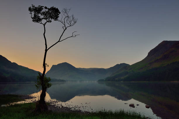 istock Buttermere lone tree and reflections, Cumbria, Lake District National Park 1486583047