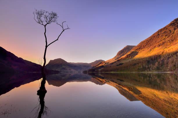 istock Buttermere lone tree and reflections, Cumbria, Lake District National Park 1486583182