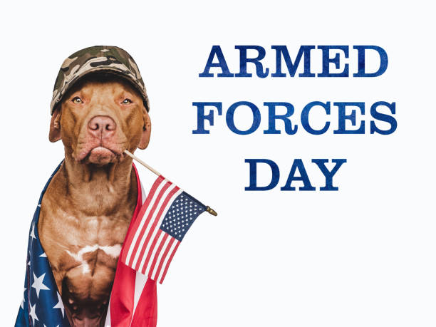 istock Armed Forces Day. Brown puppy and American Flag 1486583506