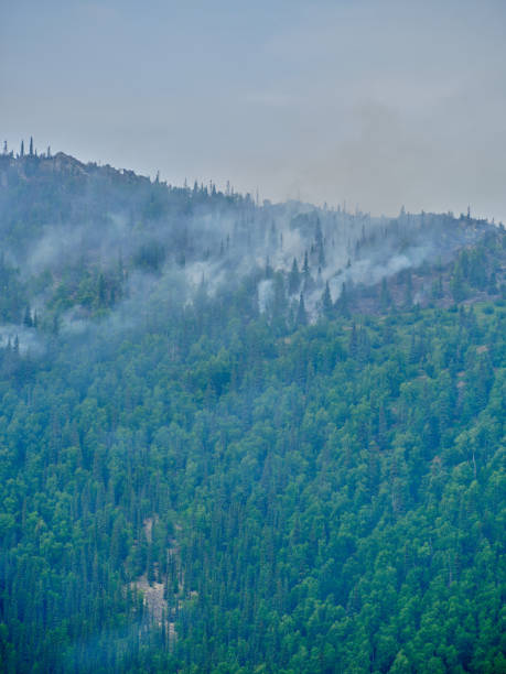 istock Burning forest fires north of the Arctic Circle in Alaska 1486585985