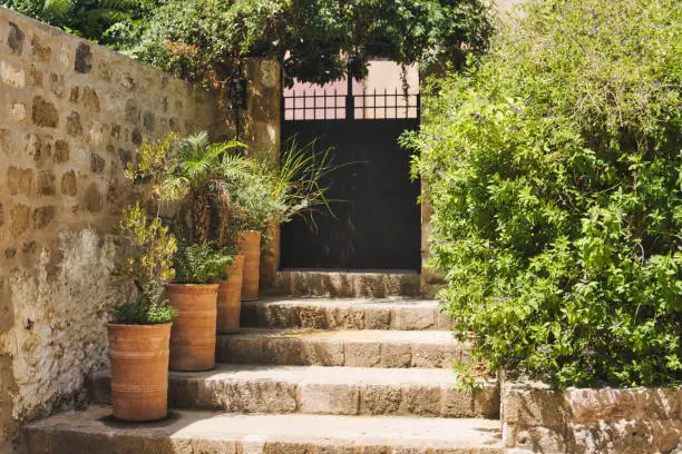 Photo of Plants growing on a stairs made from stone