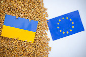 Export of Ukrainian grain concept. Flags of Ukraine and the European Union with grain.