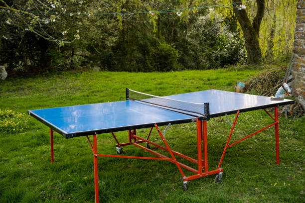 istock Ping pong table on green grass. Folding table for playing small tennis. Active leisure. 1486593602