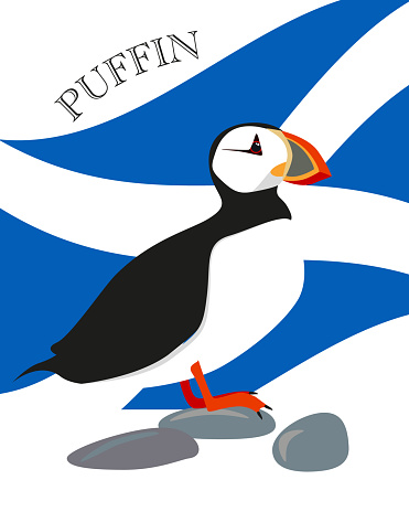 Atlantic puffin Standing on the Rocks with Scottish flag, flat vector illustration. North fauna, wildlife. Red Book bird.  Arctic shore seabird, ocean coast inhabitants.