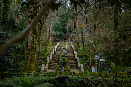 Famous water stairway Fonte Fria in the magical ancient forest of Bussaco, fairy tale enchanted green trees