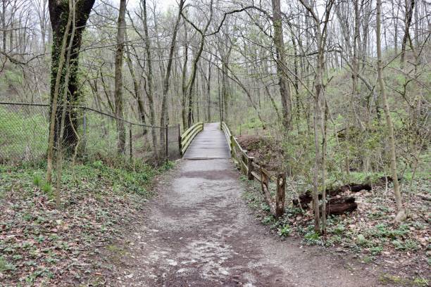 istock Old Wooden Footbridge 1486599487
