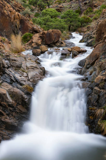istock Sierra Bermeja. Hell's Creek. Estepona. Malaga. Andalusia. 1486604532