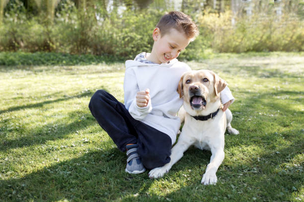 istock Positive laughing boy hugging his pet while sitting on the grass, the labrador has a funny expression. Love and pets 1486607680
