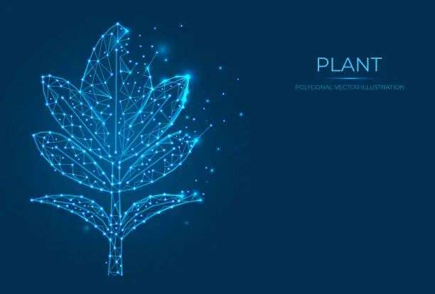 Vector illustration of Polygonal plant vector illustration isolated on blue background. Sprout Concept Art.