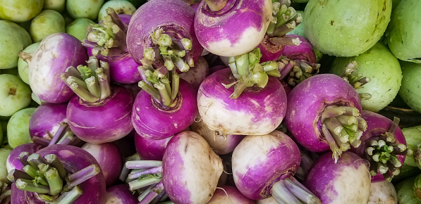 Turnip root- Vegetable