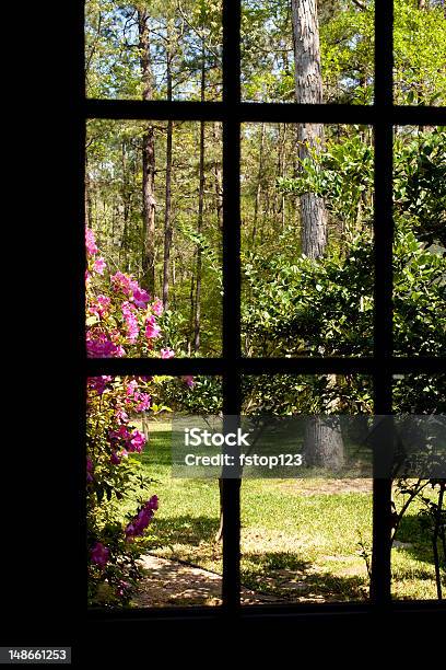 Blick Auf Den Hof Und Die Azaleen Durch Das Fenster Stockfoto und mehr Bilder von Azalee