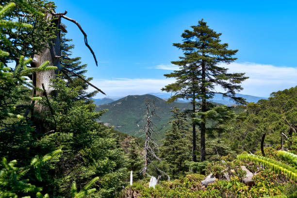istock Sierra Bermeja. Estepona. Monterroso. 1486613629