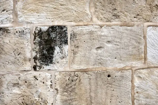 Photo of the texture of the old stone