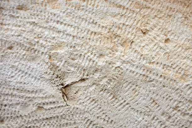 Natural gray rock wall. Abstract background photo texture