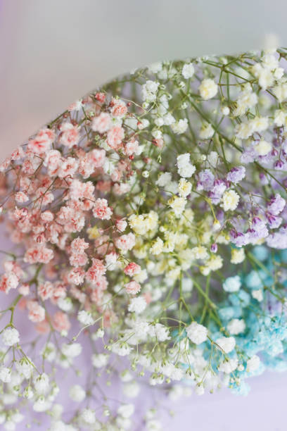 istock Rainbow gypsophila bouquet on violet background 1486619717