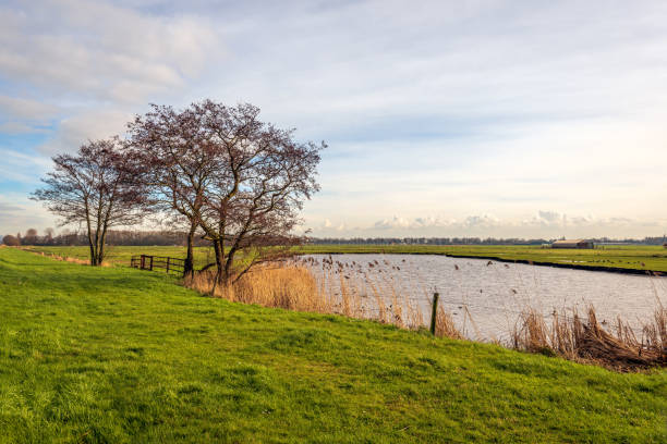 istock Picturesque polder landscape in the Netherlands 1486623283