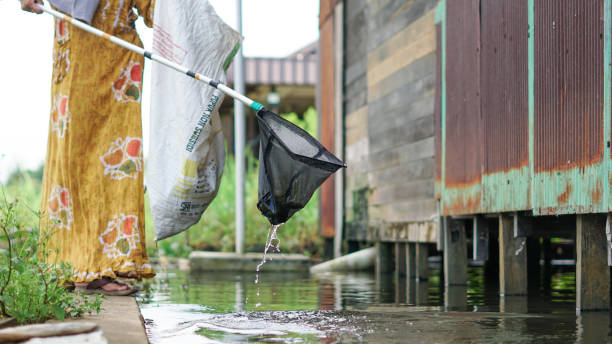 istock women clean up trash around the house with trash nets 1486626410