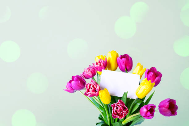 Bouquet of tulips flowers with a white card. Defocused bokeh lights background. Space for copy.