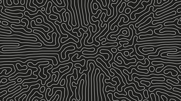 Complicated Thin Lines Pattern Vector Psychedelic Crazy Art Abstract Background Complicated Thin Lines Pattern Vector Psychedelic Crazy Art Abstract Background. Intricate Ripple Structure Panoramic Black White Wallpaper. Hypnotic Abstraction. Line Art Graphic Modern Illustration science texture stock illustrations