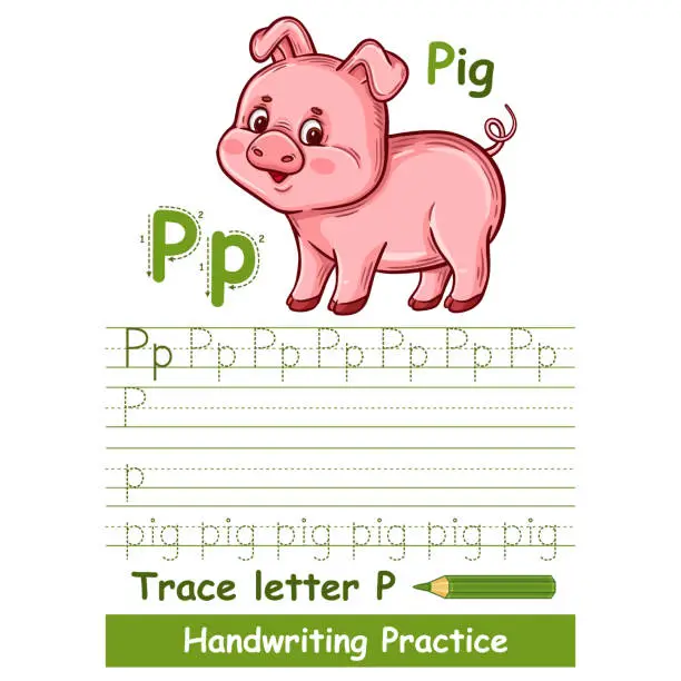 Vector illustration of Alphabet trace letter P handwriting vocabulary practice worksheet, cute little pig. Children writing education task. Baby piglet swine farm animal character. Learn ABC English. Kid book page vector
