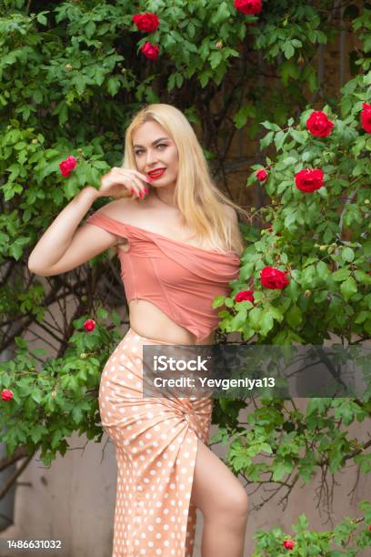 Gyönyörű Nő Hosszú Szőke Hajjal És Vörös Ajkakkal Rózsaszín Ruhát Viselve témájú stock fotó – Kép letöltése most