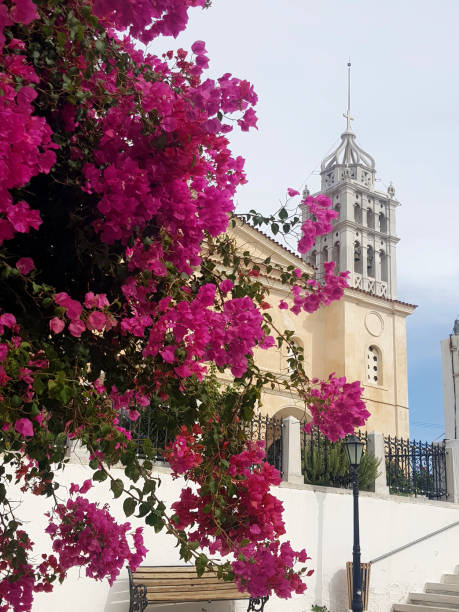 istock Amazing bougainvilleas in front o a church 1486635964