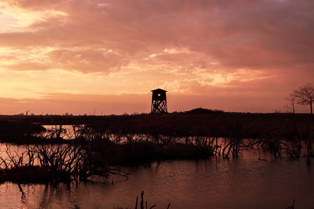 istock a wooden tower in a delta river at sunset 1486640807