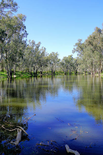 istock Lower Moira, Victoria, Australia 1486645292