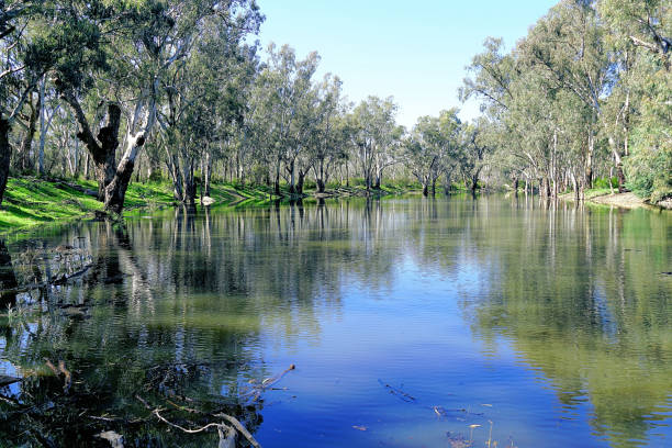 istock Lower Moira, Victoria, Australia 1486645297