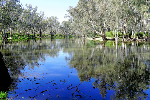 Cape Horn Lagoon near by the Murray River in the Northern Country