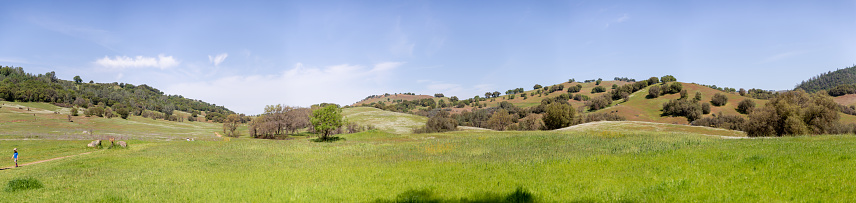 Pilot Hill, CA, USA - April 3, 2022:  Vistas of Corcoran Ranch rolling hills and American River.