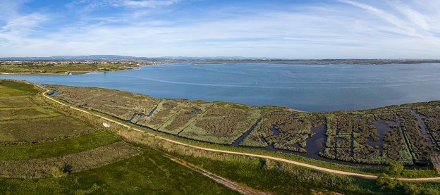 Aerial view of the cultivated fields of the estuary in Murtosa, Aveiro - Portugal.